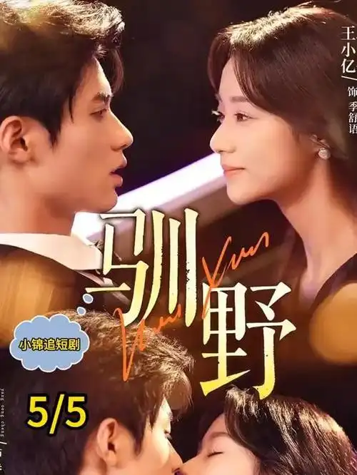 隐秘的角落 剧集海报